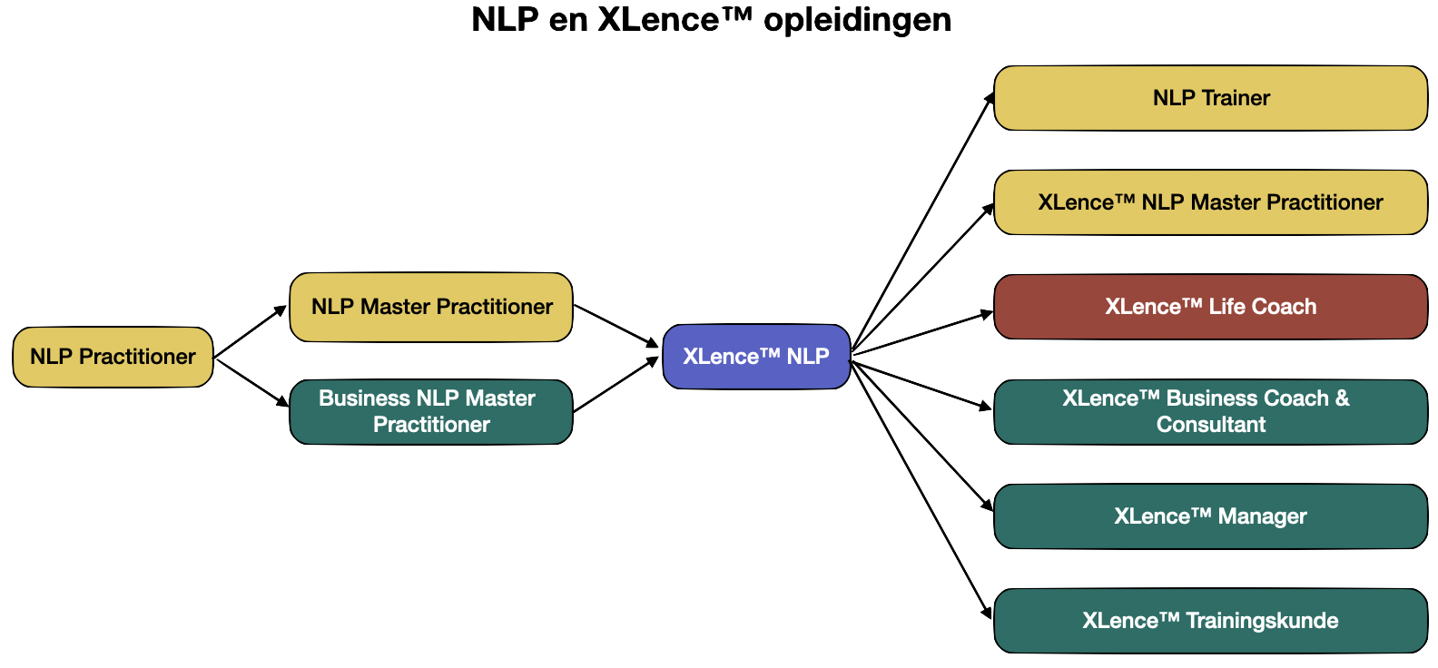overzicht opleidingen